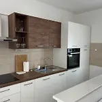 Roko 特罗吉尔
